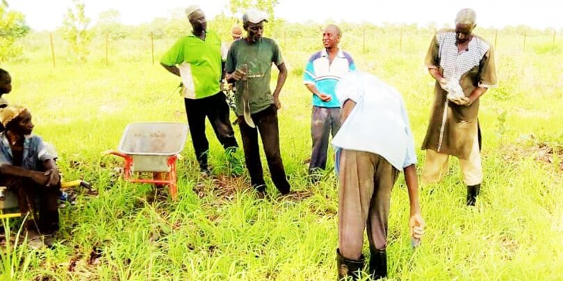 WhatsApp Image 2019-09-03 at 16.06.53 (2)